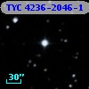 TYC 4236-2046-1