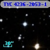 TYC 4236-2053-1