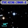 TYC 4236-2060-1