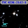 TYC 4236-2112-1