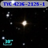 TYC 4236-2128-1