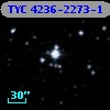 TYC 4236-2273-1