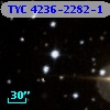 TYC 4236-2282-1