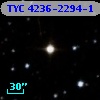 TYC 4236-2294-1