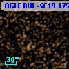 OGLE BUL-SC19 175856
