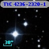 TYC 4236-2320-1