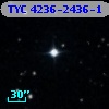 TYC 4236-2436-1