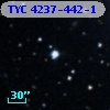 TYC 4237-442-1