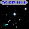 TYC 4237-608-1