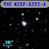 TYC 4237-1272-1