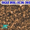 OGLE BUL-SC36 301411