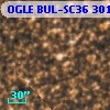 OGLE BUL-SC36 301427