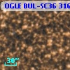 OGLE BUL-SC36 316399