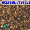 OGLE BUL-SC36 316421