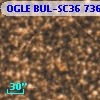 OGLE BUL-SC36 736373