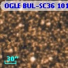 OGLE BUL-SC36 101897