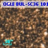 OGLE BUL-SC36 101889