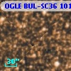 OGLE BUL-SC36 101899