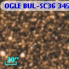 OGLE BUL-SC36 345334