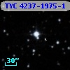 TYC 4237-1975-1