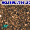 OGLE BUL-SC36 132561