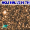OGLE BUL-SC36 794566