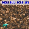OGLE BUL-SC36 161141