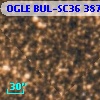 OGLE BUL-SC36 387095