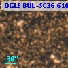 OGLE BUL-SC36 610344