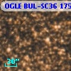 OGLE BUL-SC36 175020