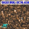 OGLE BUL-SC36 610364