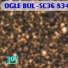 OGLE BUL-SC36 834703