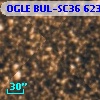 OGLE BUL-SC36 623008