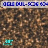 OGLE BUL-SC36 834717