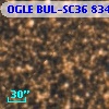 OGLE BUL-SC36 834736