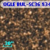 OGLE BUL-SC36 834738