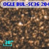 OGLE BUL-SC36 204132