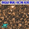 OGLE BUL-SC36 635667