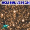 OGLE BUL-SC36 204152