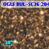 OGLE BUL-SC36 204145