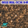 OGLE BUL-SC36 848548