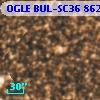 OGLE BUL-SC36 862040