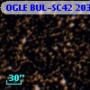 OGLE BUL-SC42 203806