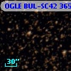 OGLE BUL-SC42 365556
