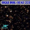 OGLE BUL-SC42 223495