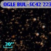 OGLE BUL-SC42 223524