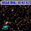 OGLE BUL-SC42  82541