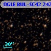 OGLE BUL-SC42 242539