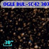 OGLE BUL-SC42 307872