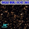 OGLE BUL-SC42 307878